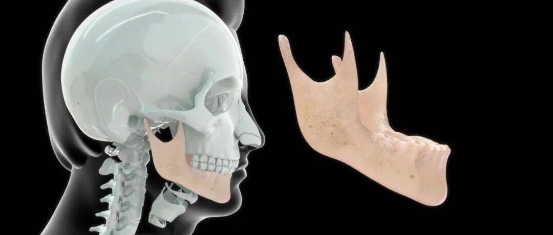 科学家利用干细胞成功培育出“颌骨”_研究_人类_三维