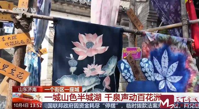 央视 | 山东济南：一城山色半城湖 千泉声动百花洲