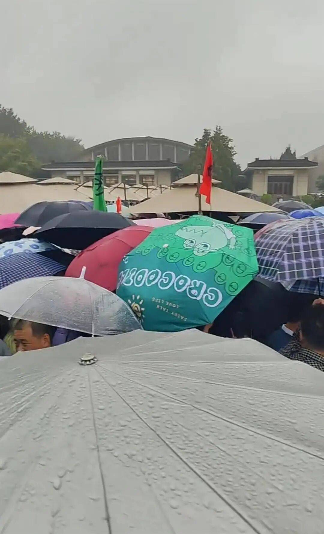 “雨伞挤雨伞”“导游被挤丢”……景区紧急提醒
