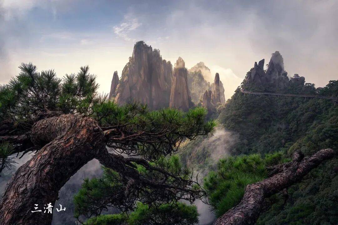 今朝寒露至，赣鄱秋正浓！