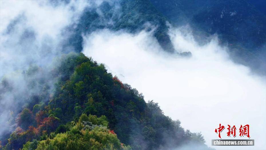 陕西西安：秦岭翠华山红叶云海美景同现
