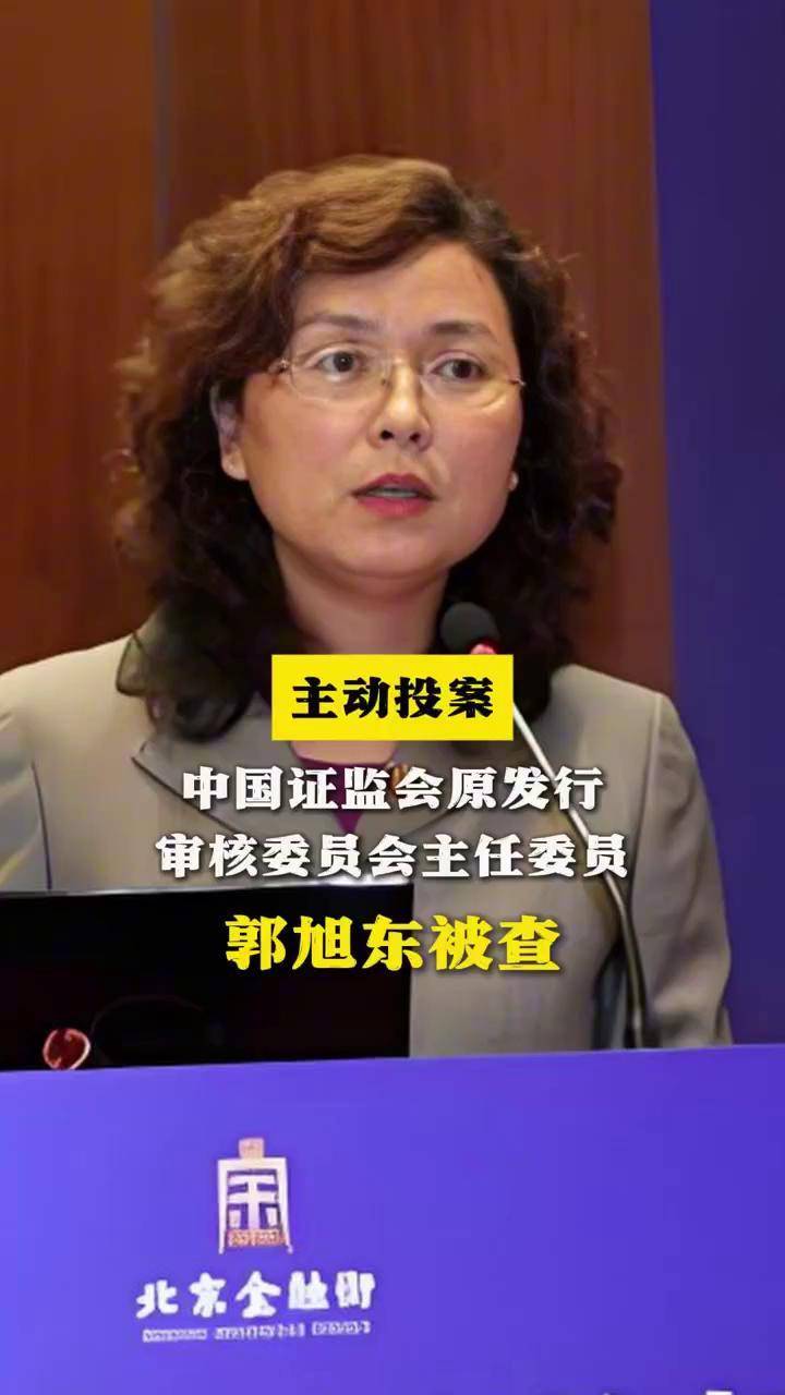 主动投案!中国证监会原发行审核委员会主任委员郭旭东被查
