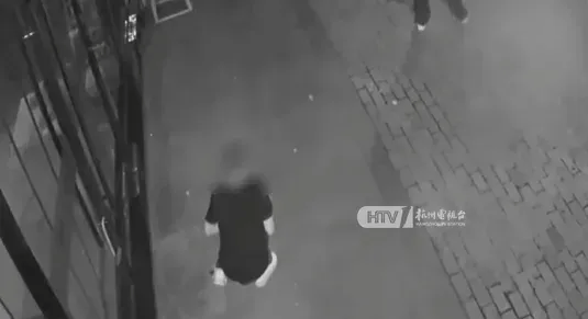 俩贼打车来杭州盗窃，一人蛮力踢飞门锁，正好砸到同伙，痛得蹲地不起，还没进门就被抓