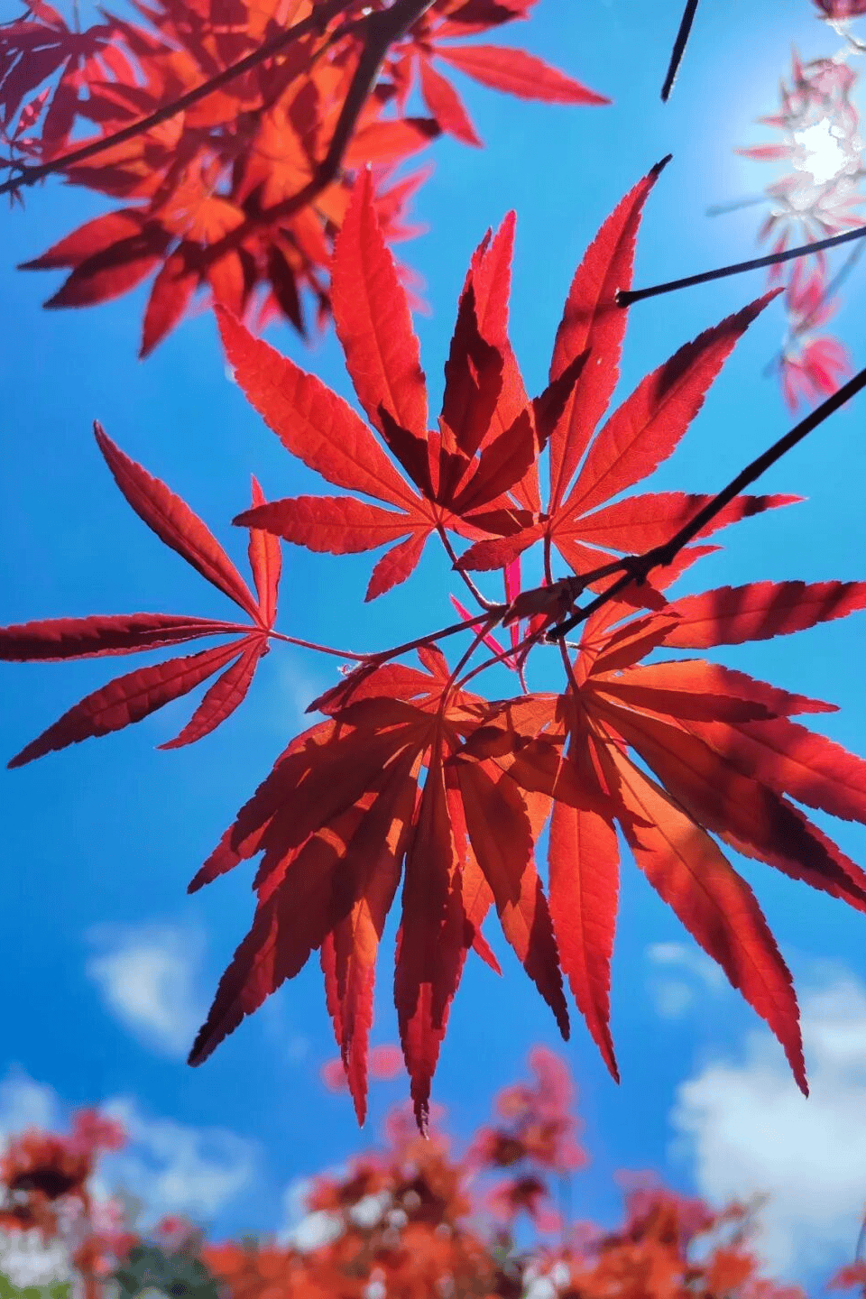 冷空气终于要大举南下，广东能入秋吗？｜温度记