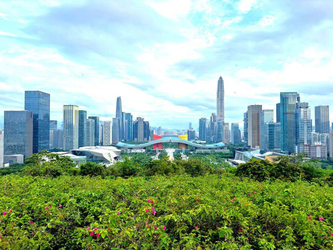 刘祥:践行人民城市理念,深圳应坚定不移走内涵式、高质量发展之路_建设_产业_创新