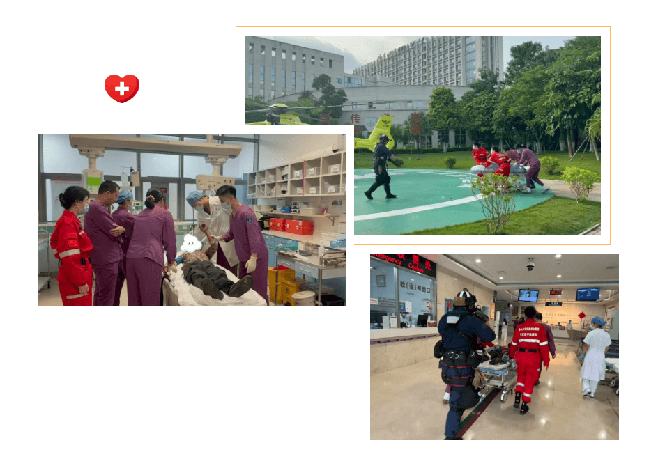 突遭山蜂蜇伤，深圳市民打“飞的”到中山七院获救
