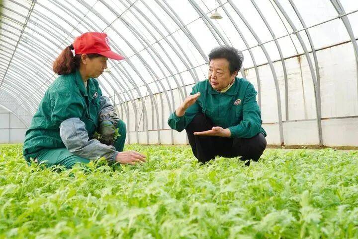 “每一位妇女都是时代的书写人、追梦的奋斗者”