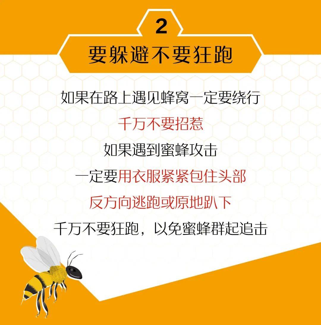 带刺“插班生”悄悄“入学”幼儿园，被师生们连连拒绝