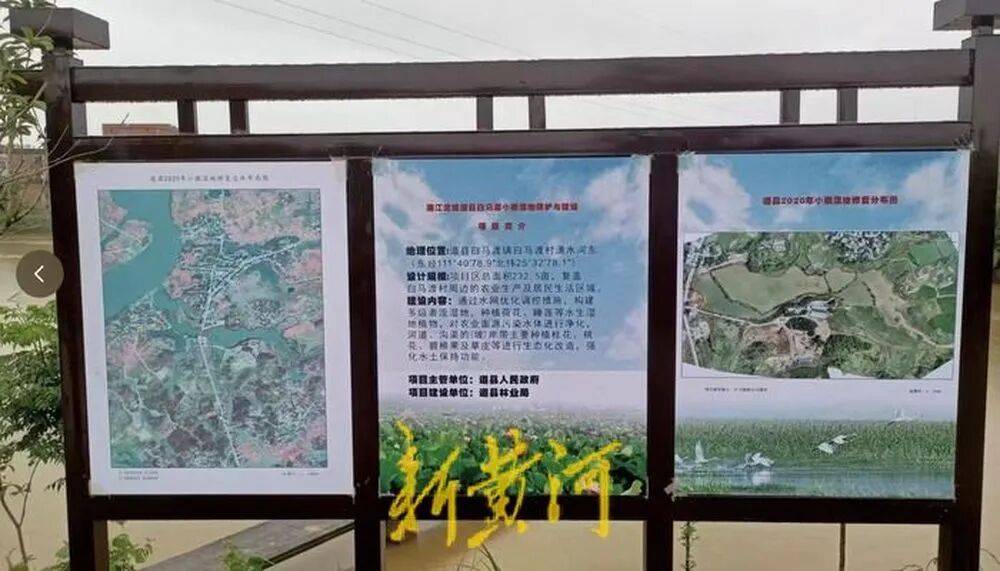 湖南65岁农妇挖11.98亩鱼塘养鱼，被控非法占用农地罪羁押超10个月，二审免于刑事处罚，当事人：坚持无罪申诉