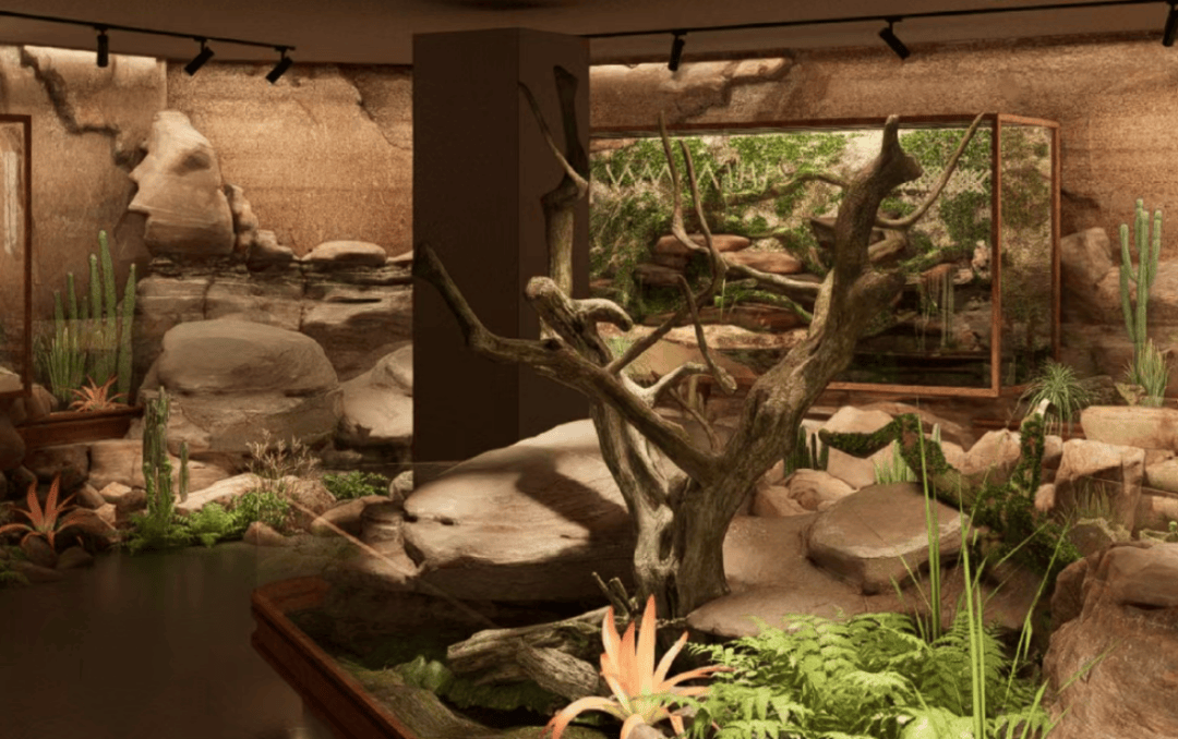 内含近4200㎡宠物店!成都龙湖三千集宠物社交 松弛生活打卡攻略