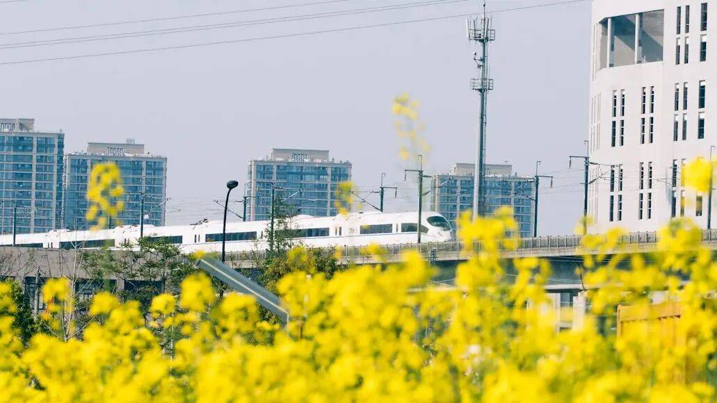 市市通高铁，这次终于轮到东北了