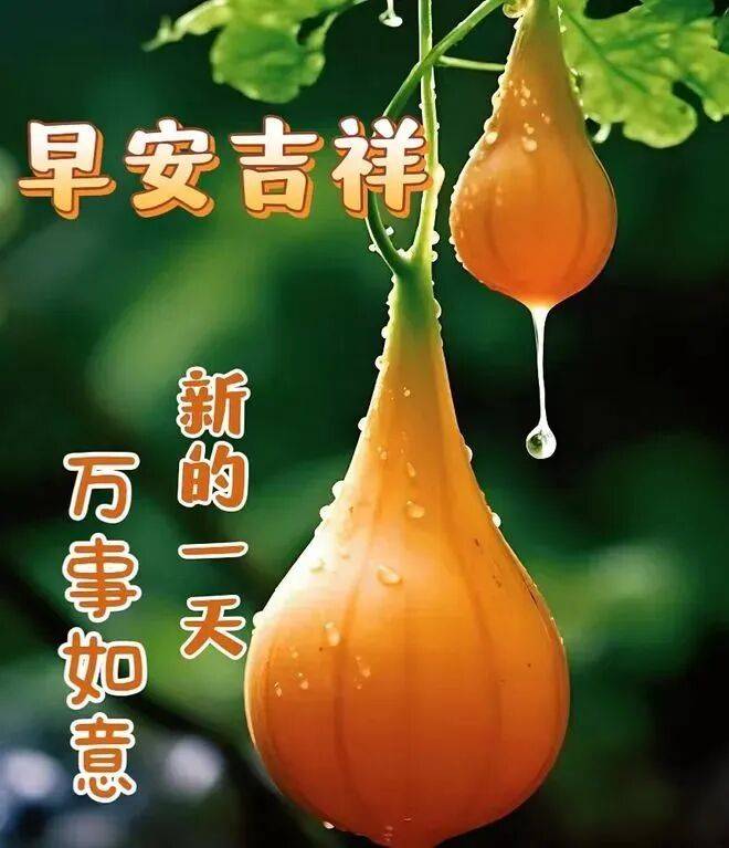 纯朴友情真挚问候_问候早安的句子_清晨祝福温暖关怀