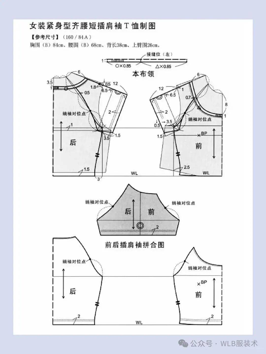 8款-t恤女装原型结构裁剪图