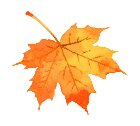 564_505gif 动态图 动图