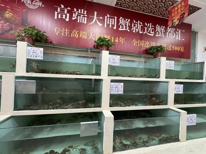 市面蟹卡“标价”高、入手价低，1—4折即可入手，“货不对板”乱象频现，有品牌蟹卡差到“黄牛”都不敢收