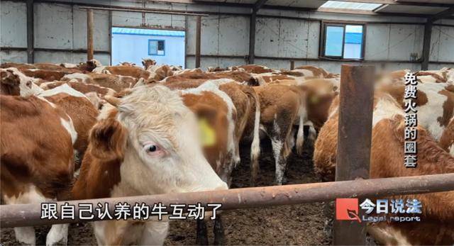 600多名大爷大妈吃了免费火锅后，被骗约4200万元