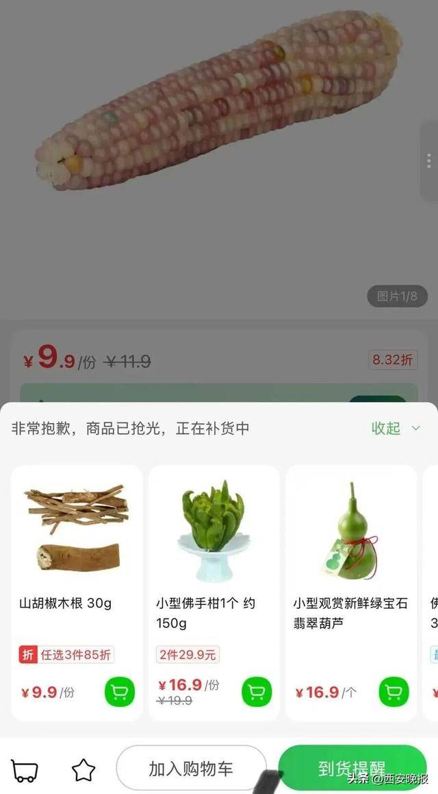 价格炒到上万元！不少年轻人入坑：一"盘"不可收拾！