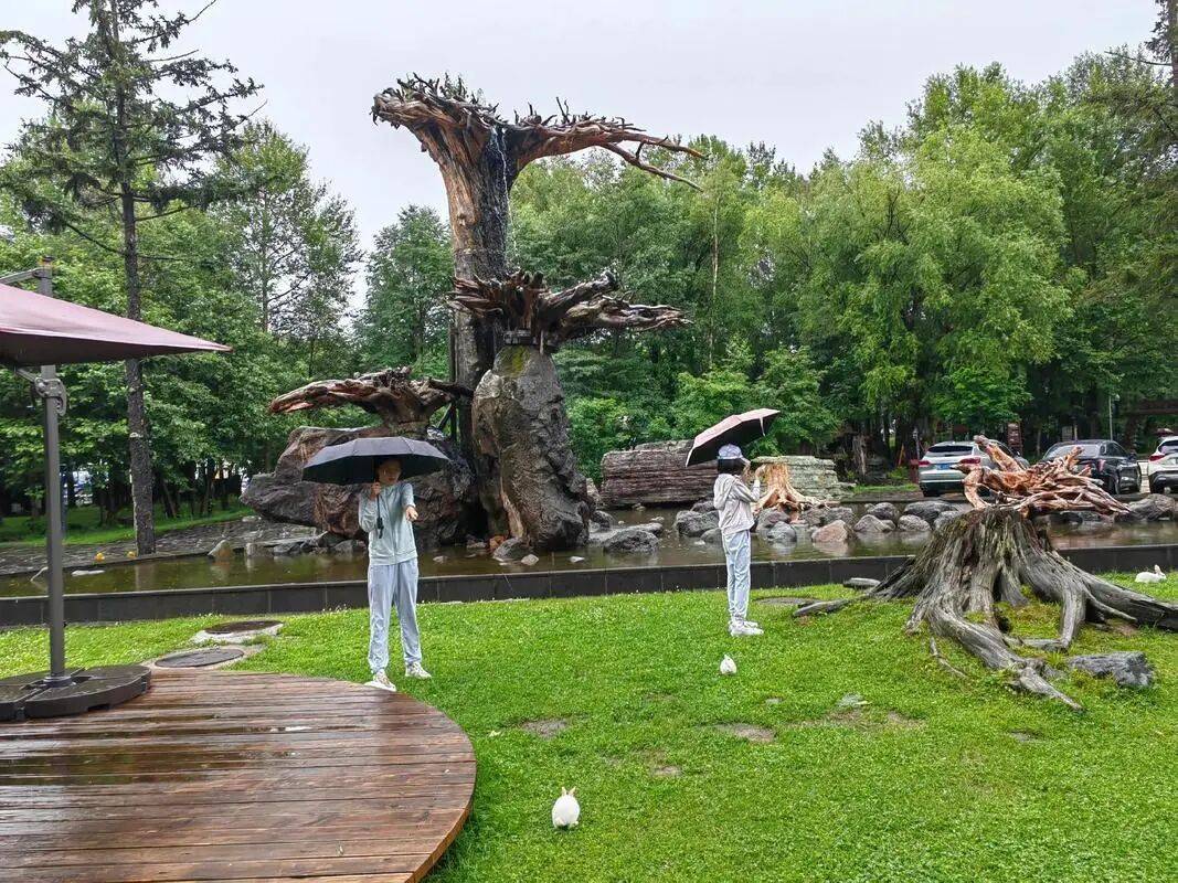 延边文旅接连入选国家级奖项！‘’沉浸式体验+美食IP”引爆流量华体会- 华体会体育官网- 体育APP下载