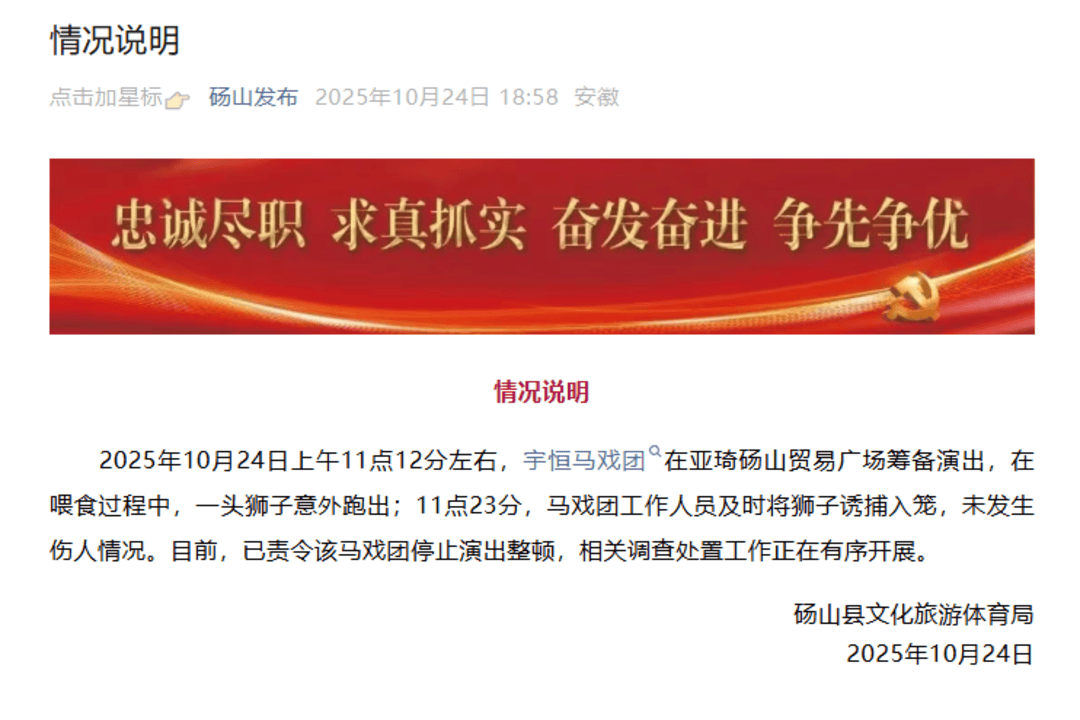 马戏团狮子跑出当街狂奔？官方通报：已诱捕入笼，未发生伤人情况