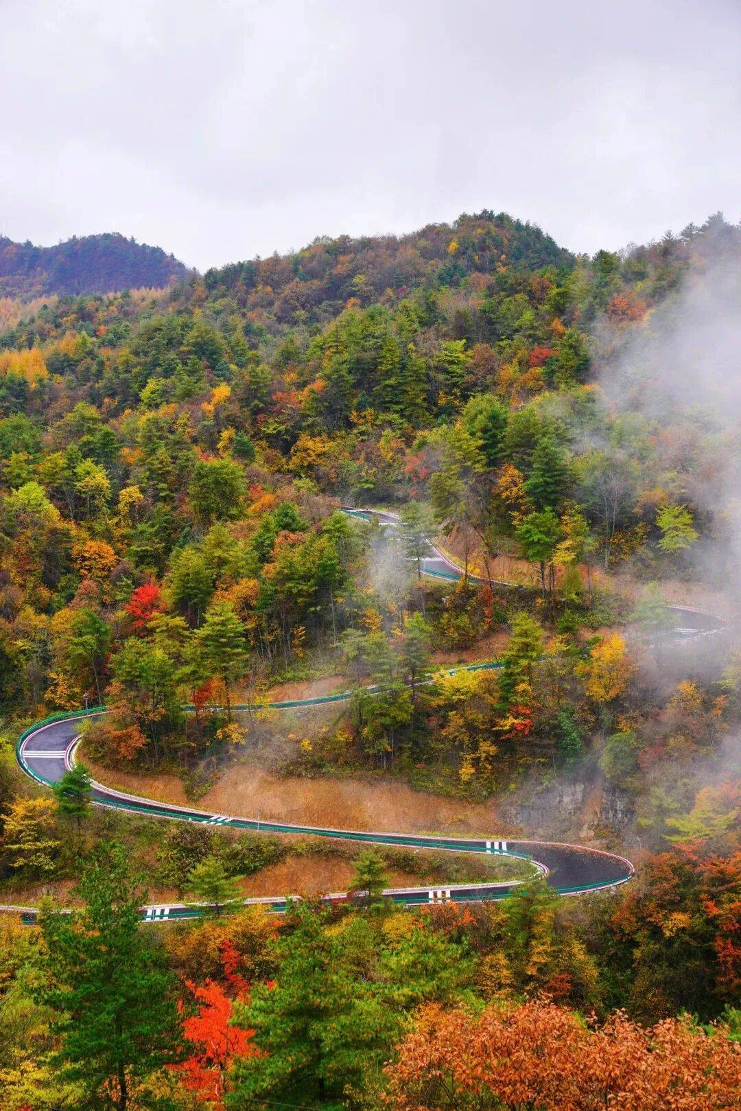 曾家山的浓颜,是红叶彩林给的!