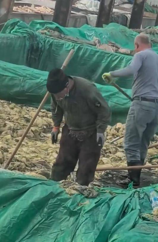 "男子在酸菜池抽烟、随口乱吐"引愤慨:葫芦岛市监部门回应(图3)