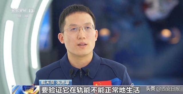 可爱“太空鼠”陪伴航天员 “太空家园”将再添“新成员”