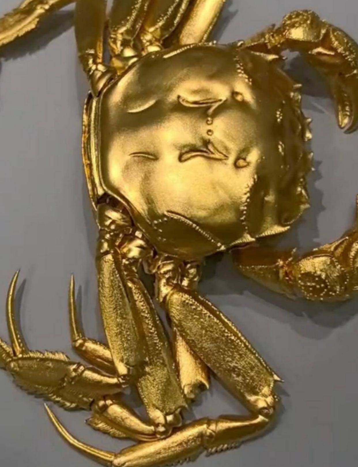 七万金蟹设计师的眼泪谁才是这堆烂账里的真主?