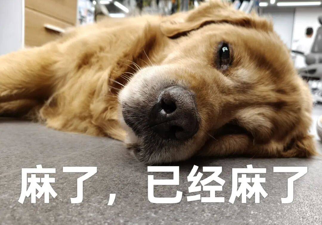 为了吸引你买手机，厂商们已经开始在参数页上动起手脚了