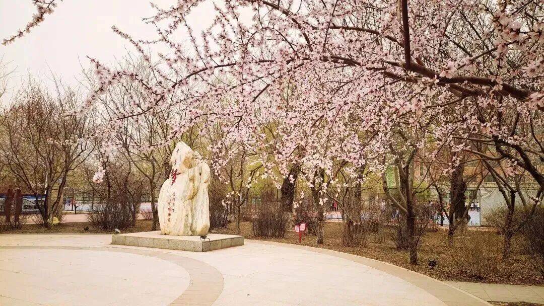 文章配图-2