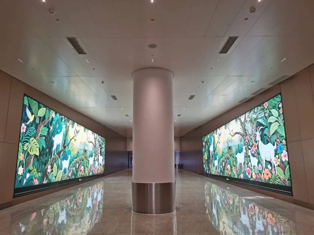 光影织繁花,白云启新程