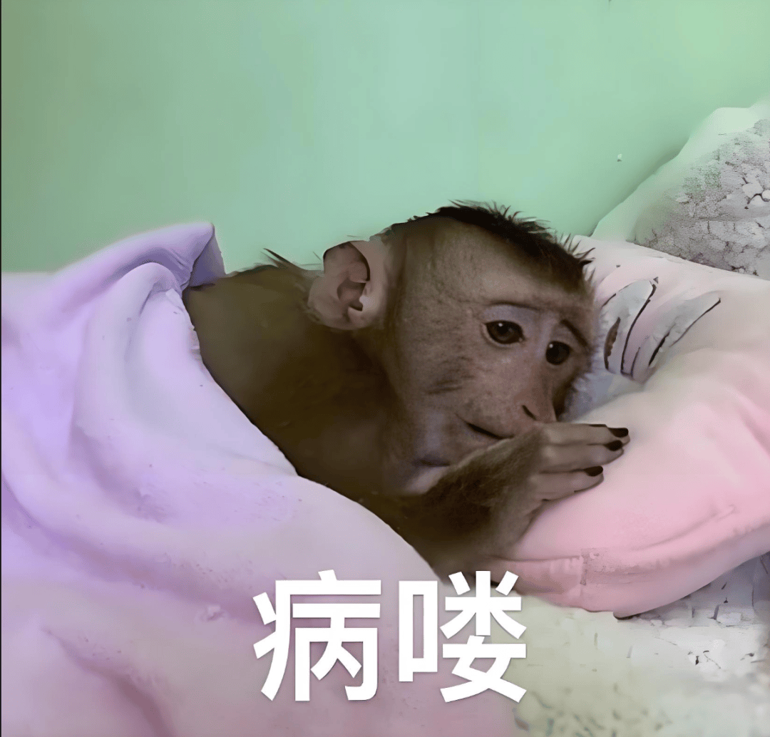 今年的毒株和去年的不同,治疗用药看这里→