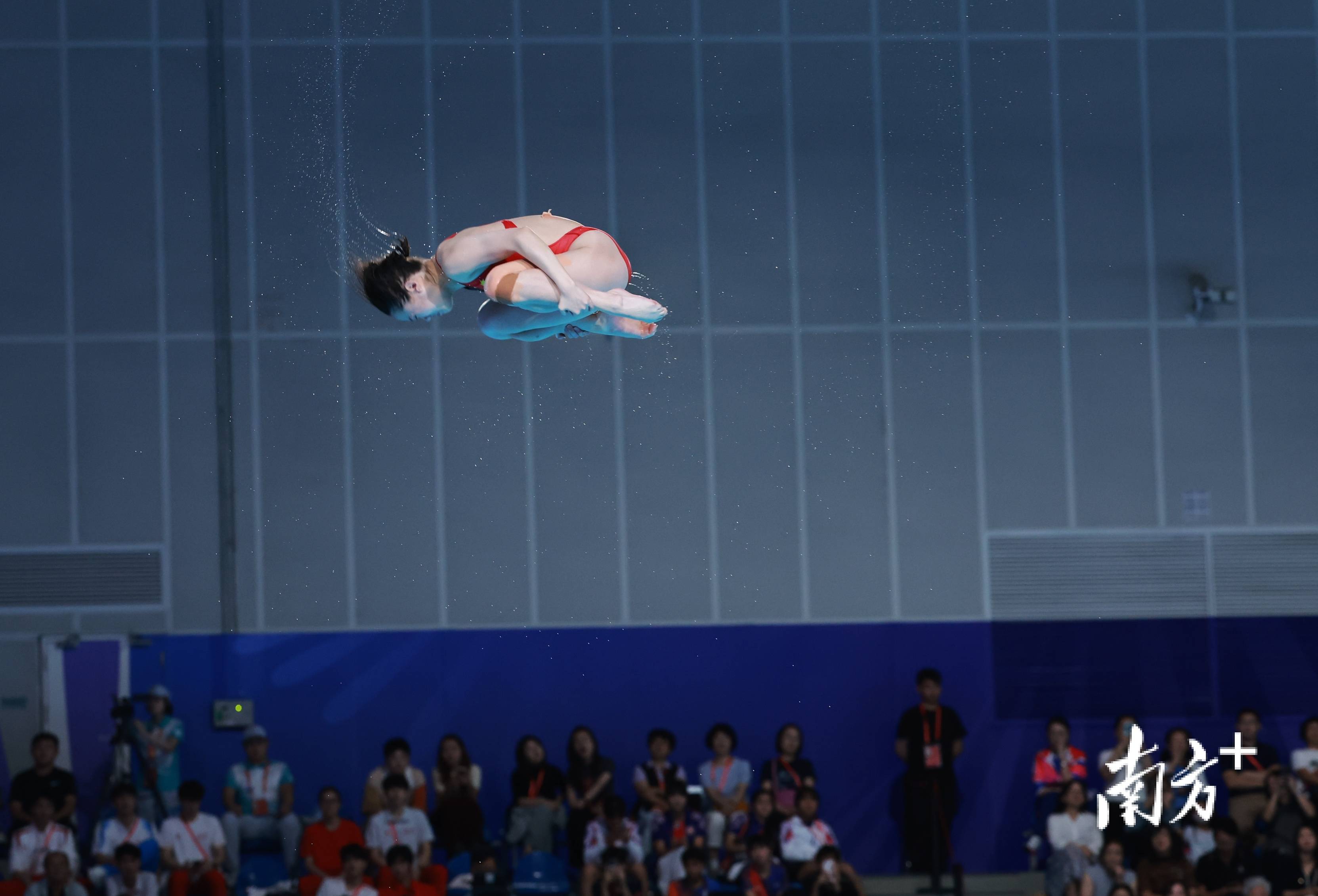 顶流热度,"神仙友谊"!盘点十五运会跳水名场面