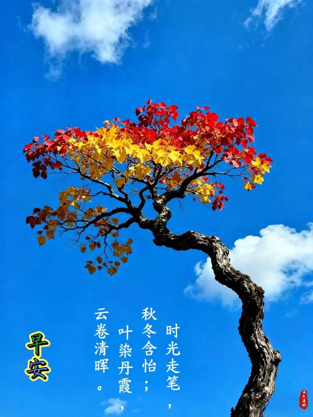 88张秋天早上好最新版早上好图片精选 早安祝福图片带字 漂亮祝福