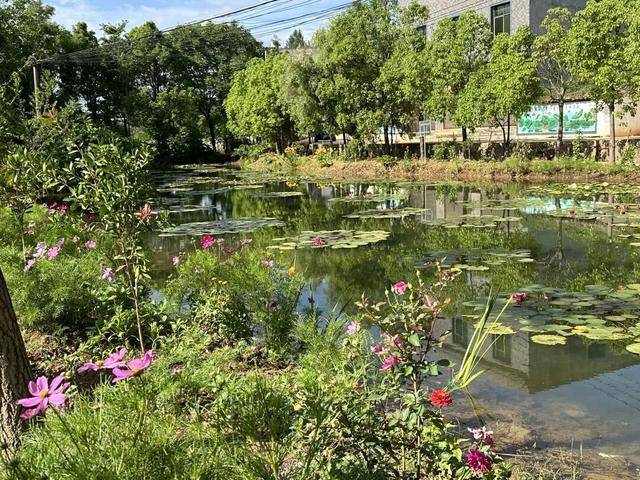 "千万工程"引路 滇中新区小哨街道矣纳社区绘就和美乡村新画卷