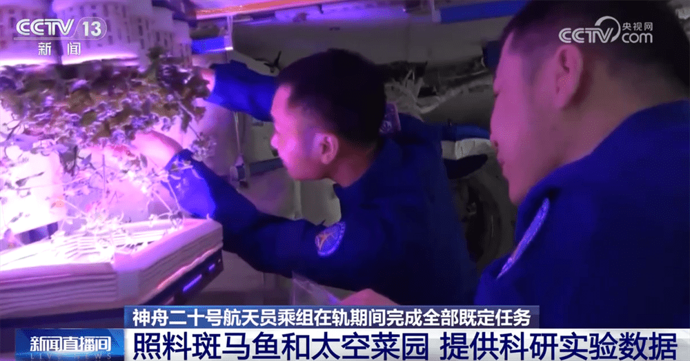 即将收获满满返回地球 神二十乘组“太空出差”期间完成了哪些任务? 即将收获满满返回地球 神二十乘组“太空出差”期间完成了哪些任务?