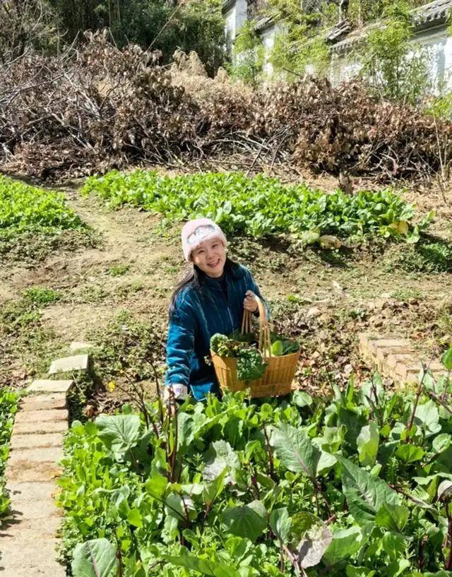 50岁龚琳娜独居深山,房子后面是一片坟地,离婚后养猫为伴不害怕