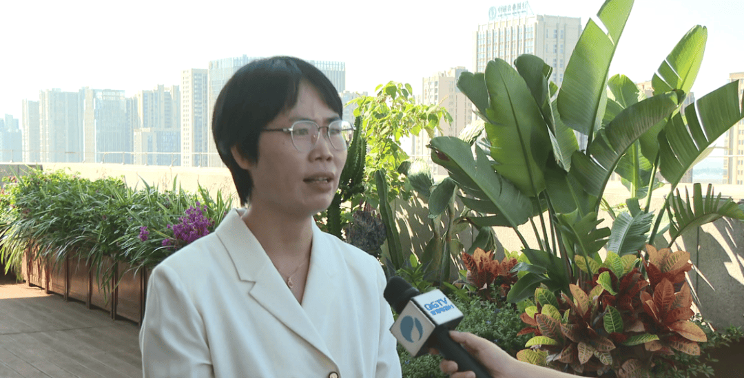 中国铁建董事长戴和根：“十五五”锚定强国建设 践行全球发展