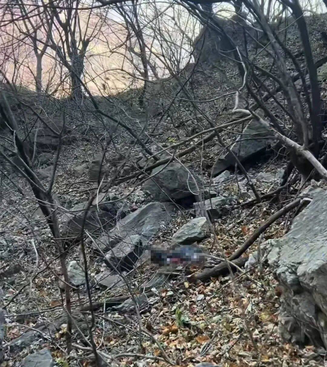 确认遇难！年仅29岁