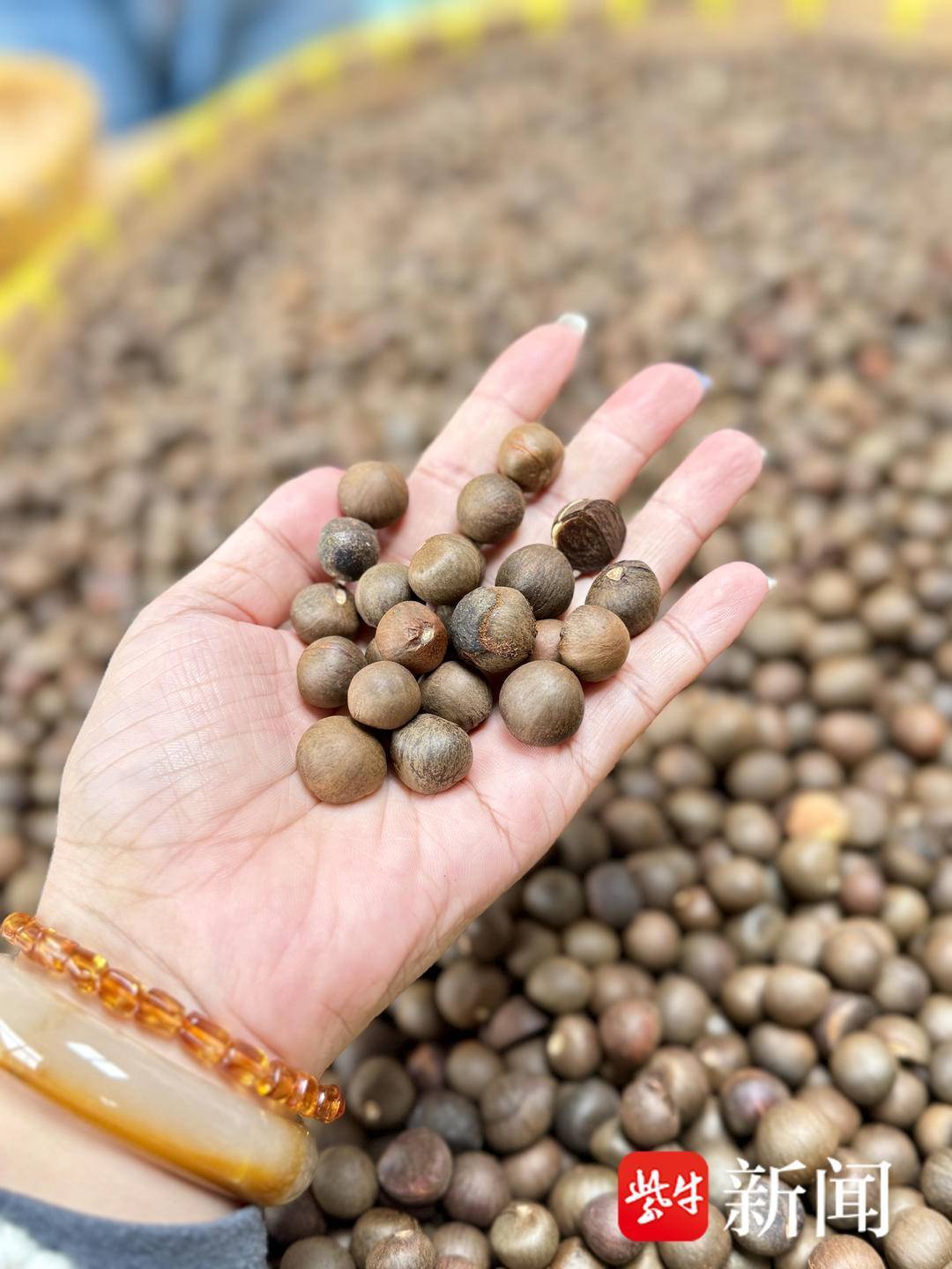 视频 | 被遗弃的茶叶果成为香饽饽扬州绿杨