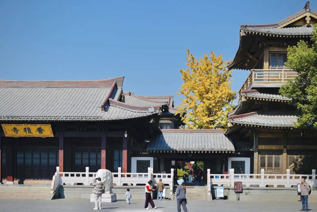 一单149元，成本几乎为0！杭州遍地都是，有人靠它悄悄赚钱......