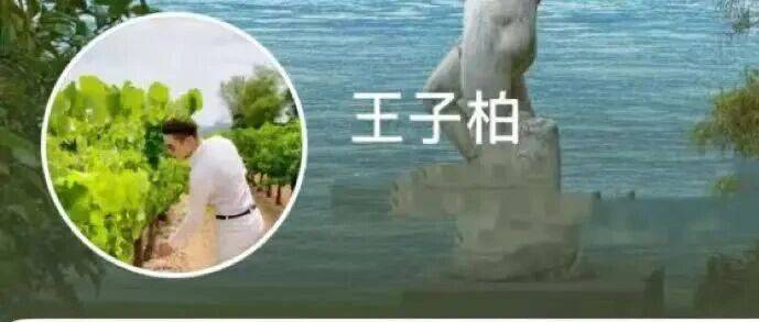 偷税749万元炫富网红“柏公子”改名复出,再被封!_王子柏_账号_网络