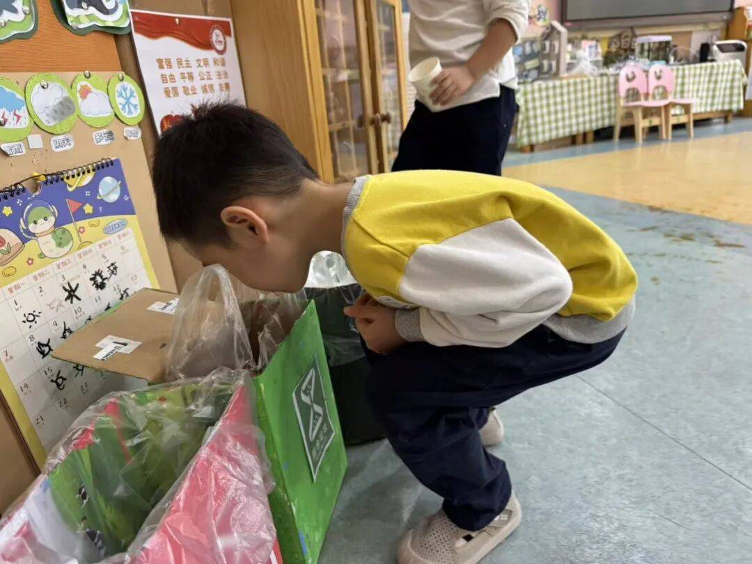 —沈阳市育才幼儿园项目课程案例