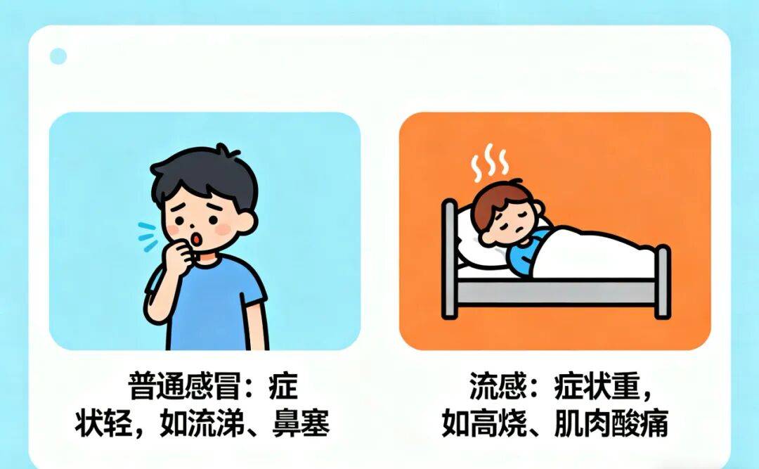 普通感冒和流感的区别你知道吗