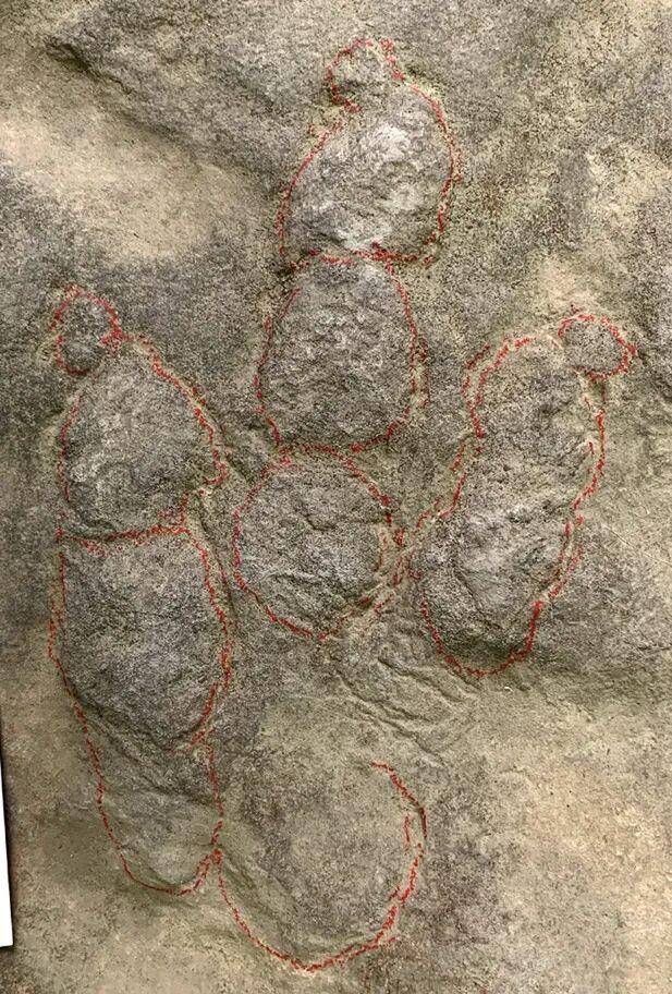 村民用了多年的垫脚石，竟是重要的恐龙化石？