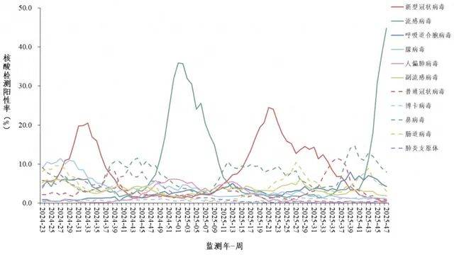 全国流感样病例阳性率接近45%，已进入中流行水平