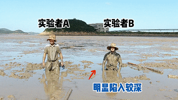 【科普】这种生活中常见的非牛顿流体，真的会“吃人”！