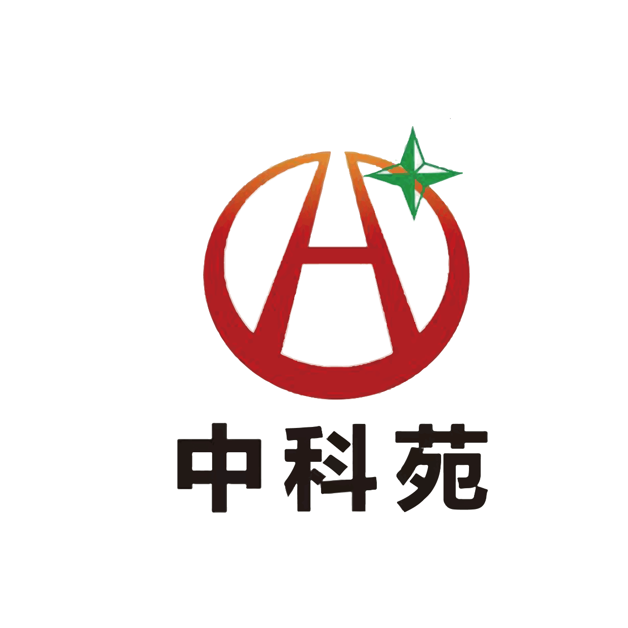 中科苑中高考