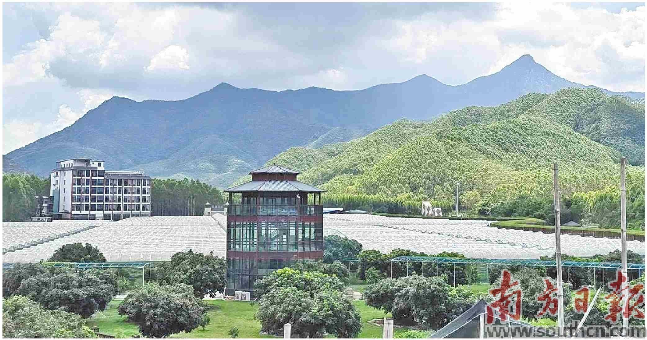 云涧葡谷:解锁自然人文深度体验_梁化镇_客家_红色
