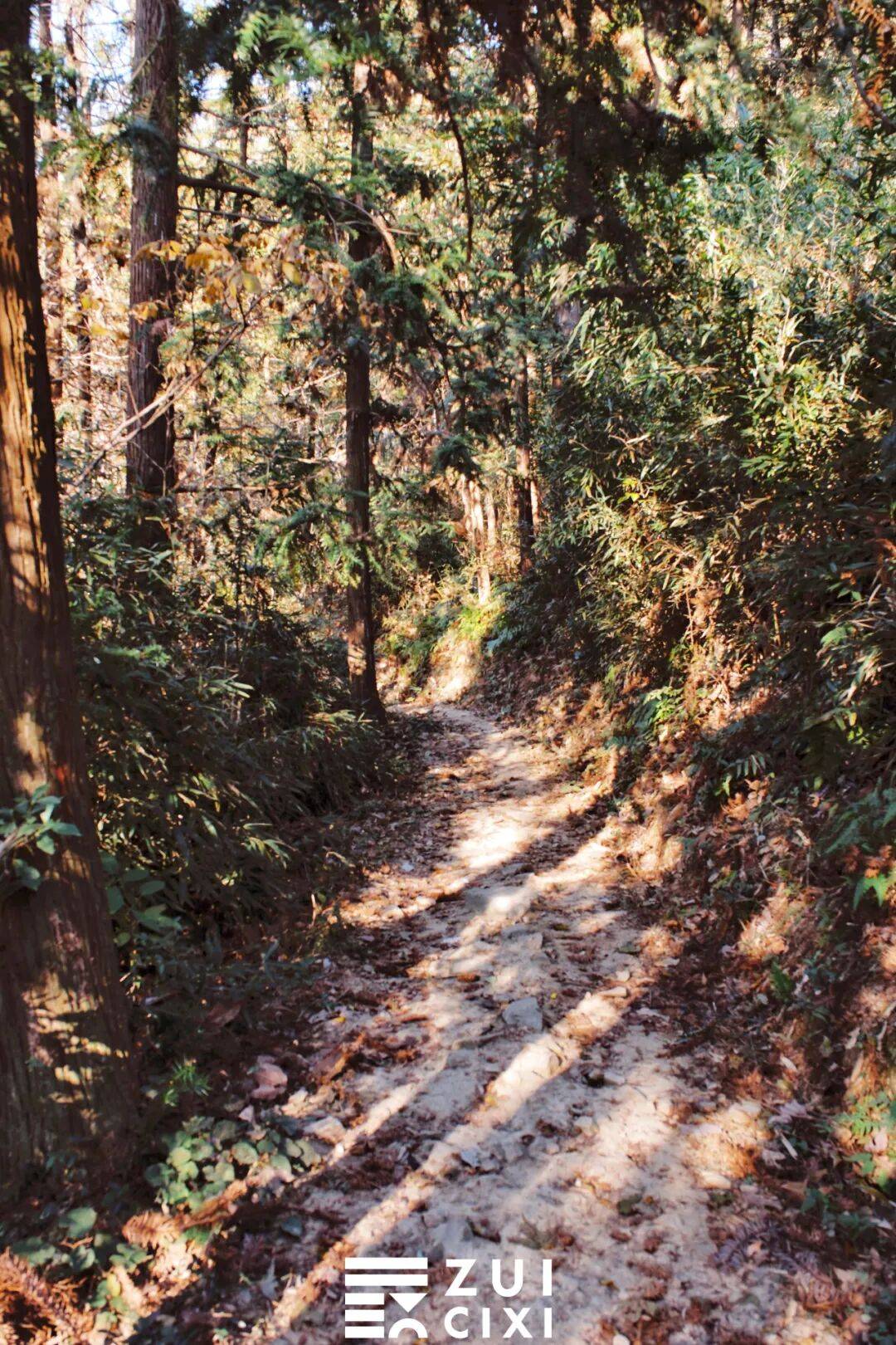 徒步赏秋walkmountain走去山野