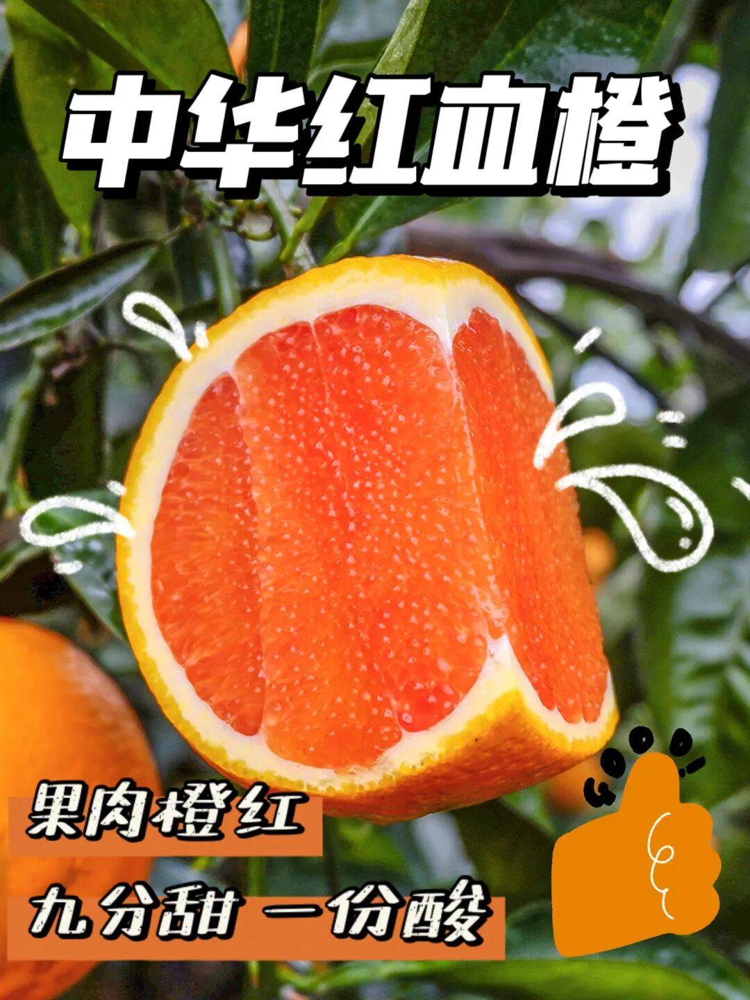 绯红的果肉里果粒晶莹剔透绯红的果肉里果粒